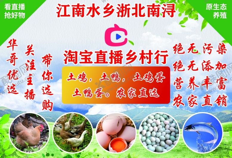 编号：61476411011324369645【酷图网】源文件下载-乡村直播海报