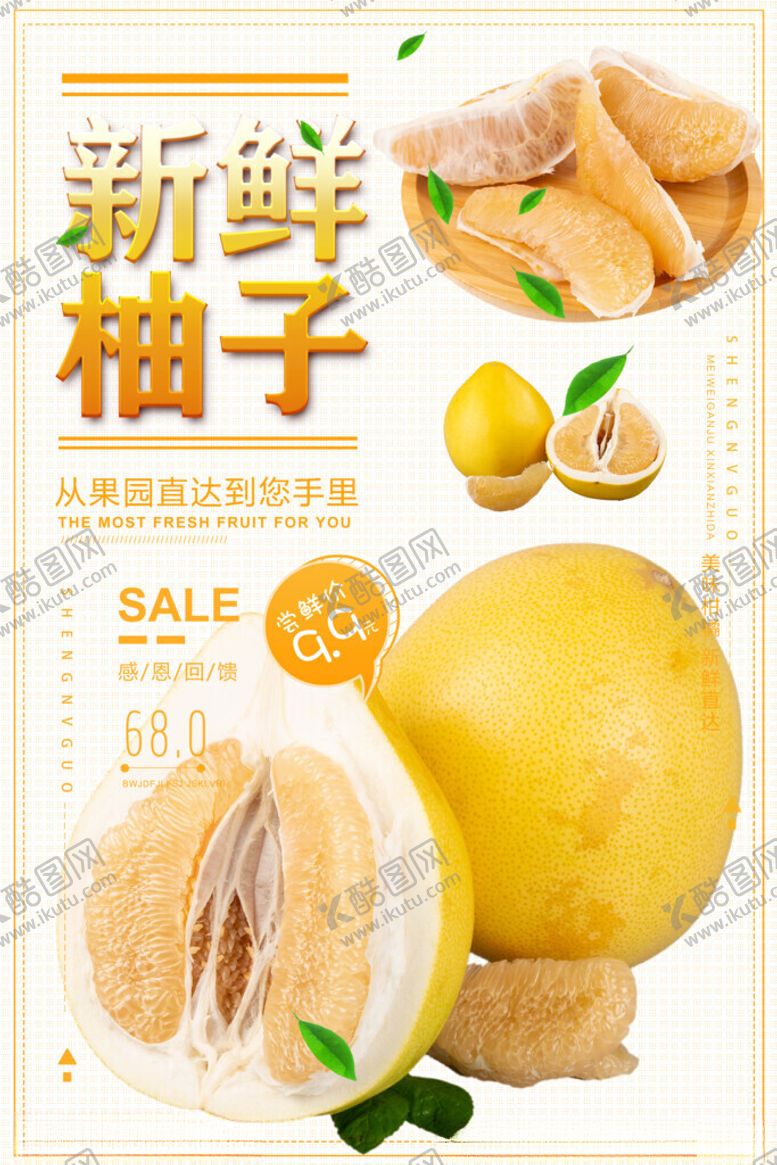 编号：86524911191511059453【酷图网】源文件下载-柚子海报