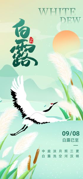 二十四节气白露海报为霜24