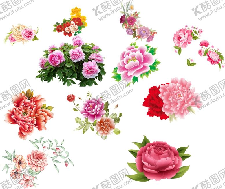编号：32264710190447532960【酷图网】源文件下载-牡丹花