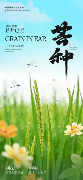 芒种