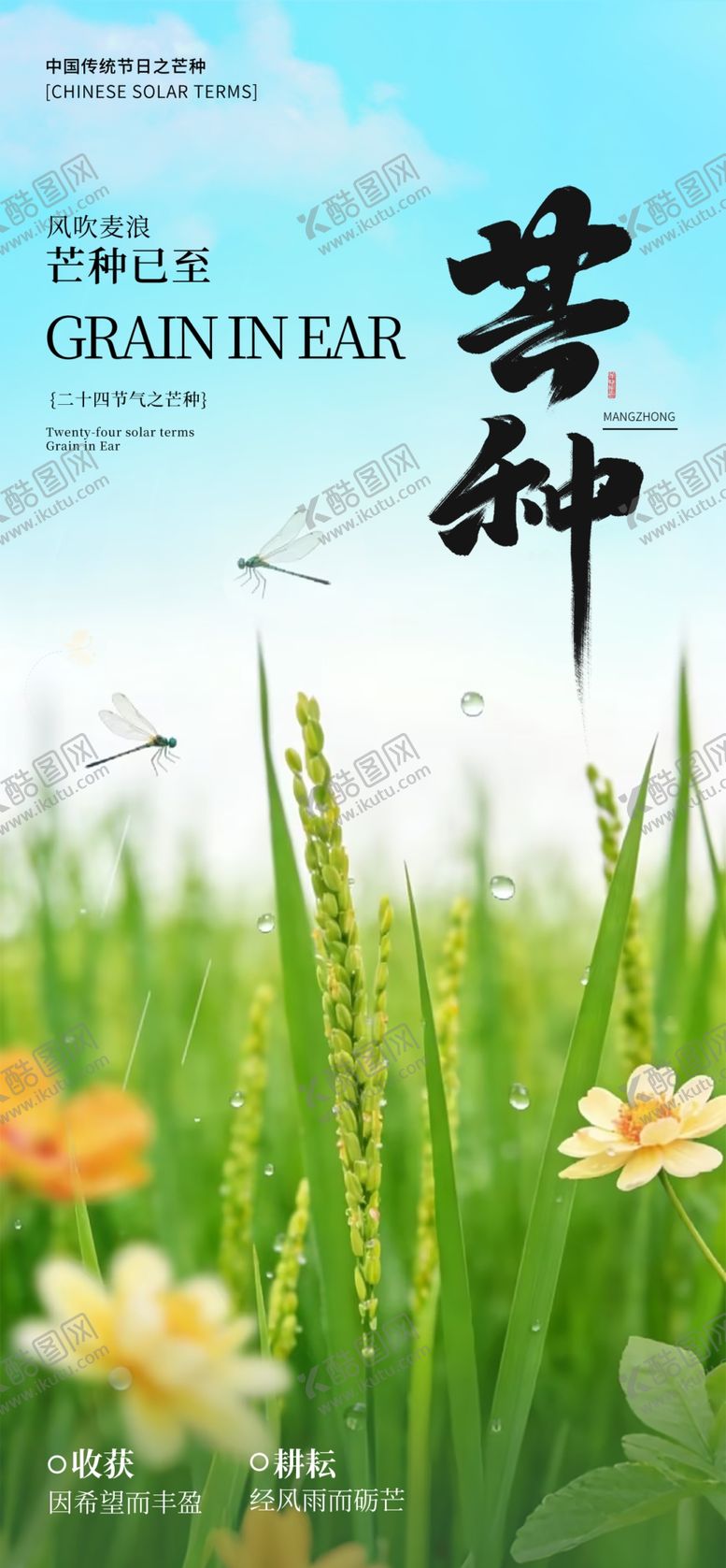 编号：47337205250202266605【酷图网】源文件下载-芒种