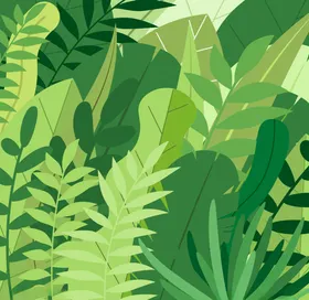 叶子绿色植物树绿