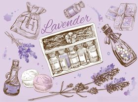手绘薰衣草主题物品集合