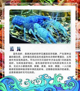 蓝龙虾