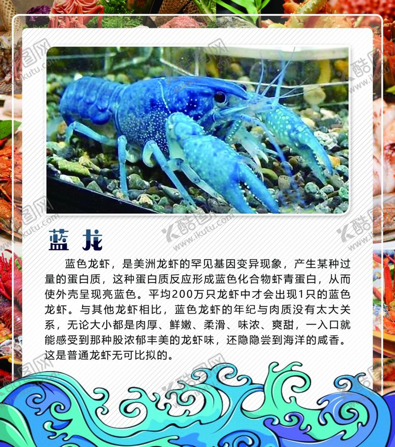 编号：29946710181840284614【酷图网】源文件下载-蓝龙虾