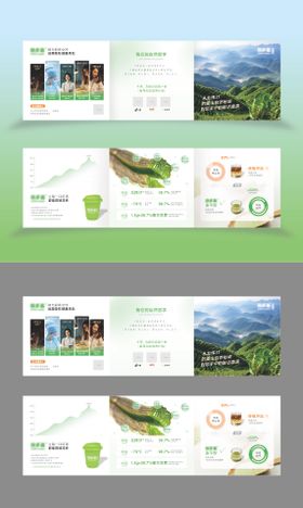 石斛产品介绍三折页