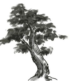水墨中国风迎客松
