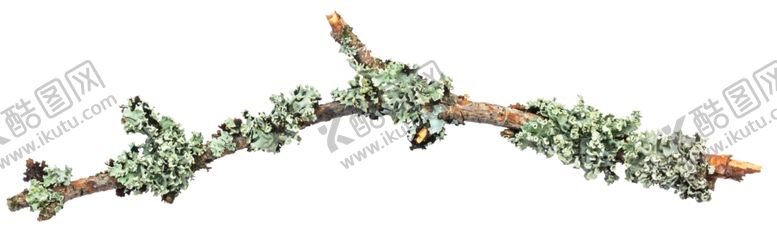 编号：41248510091703537350【酷图网】源文件下载-树皮