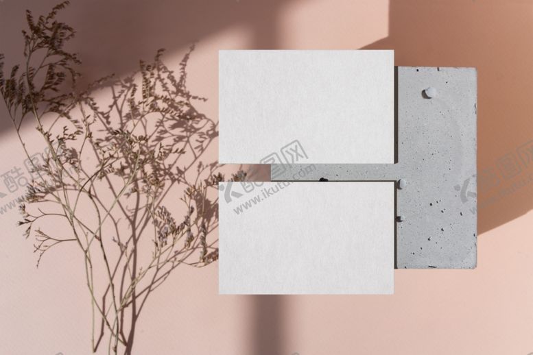 编号：76533709122127069043【酷图网】源文件下载-名片样机