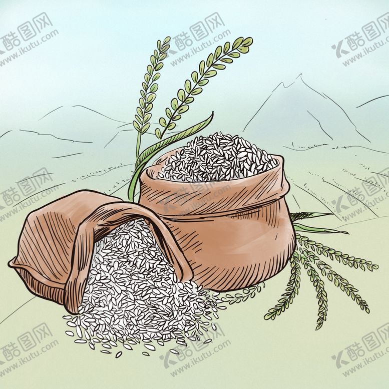 编号：77275303241350091578【酷图网】源文件下载-手绘大米插画