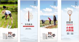 节约粮食展架