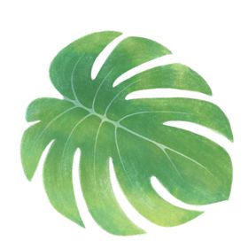 叶子