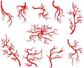 编号：78269509291840293291【酷图网】源文件下载-血管