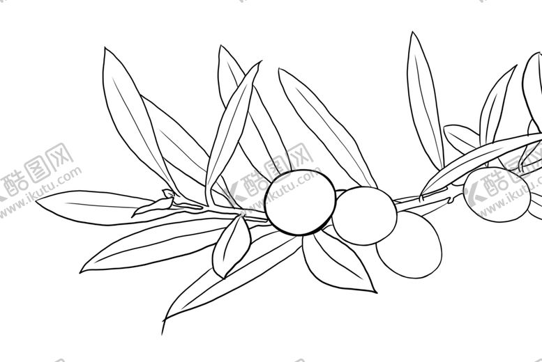 编号：88714009200316009011【酷图网】源文件下载-橄榄