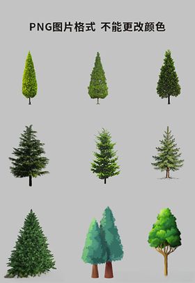 松树插画素材