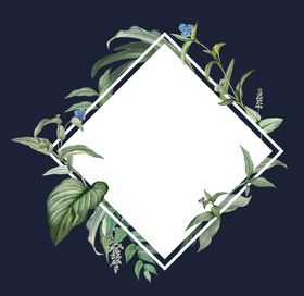 背景素材