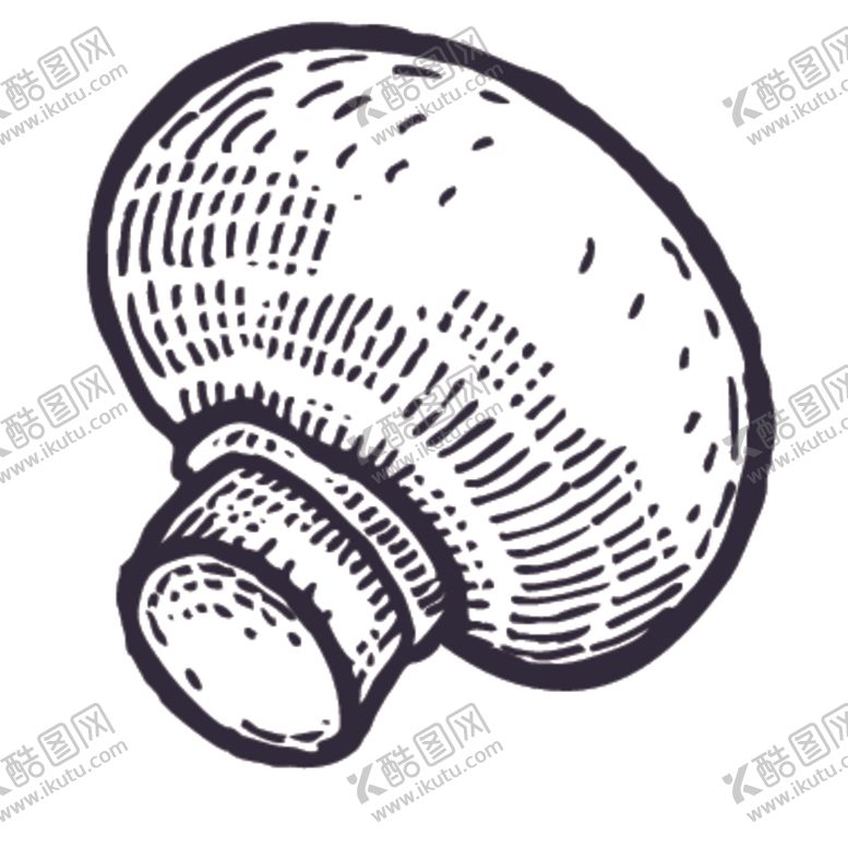 编号：40078905151838479775【酷图网】源文件下载-餐饮食物插画元素