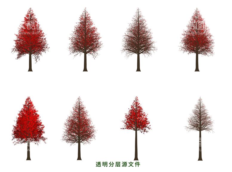 编号：56569610161304553333【酷图网】源文件下载-红杉树