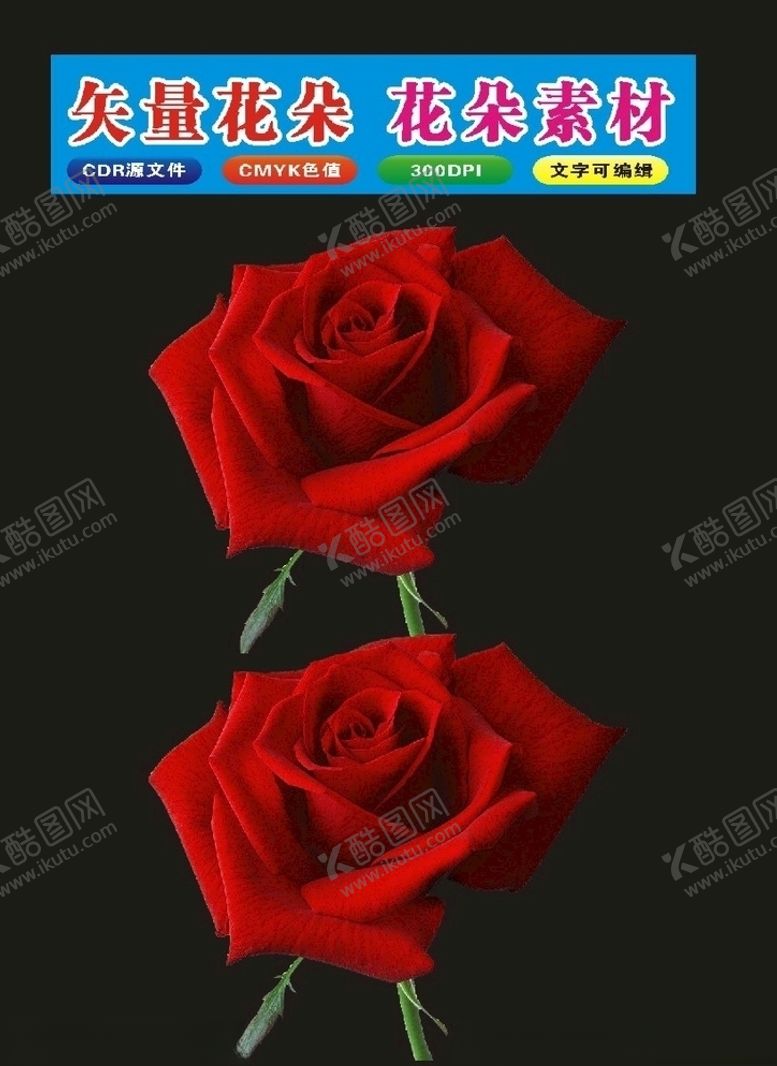 编号：17004409220048404445【酷图网】源文件下载-花植物红色花朵