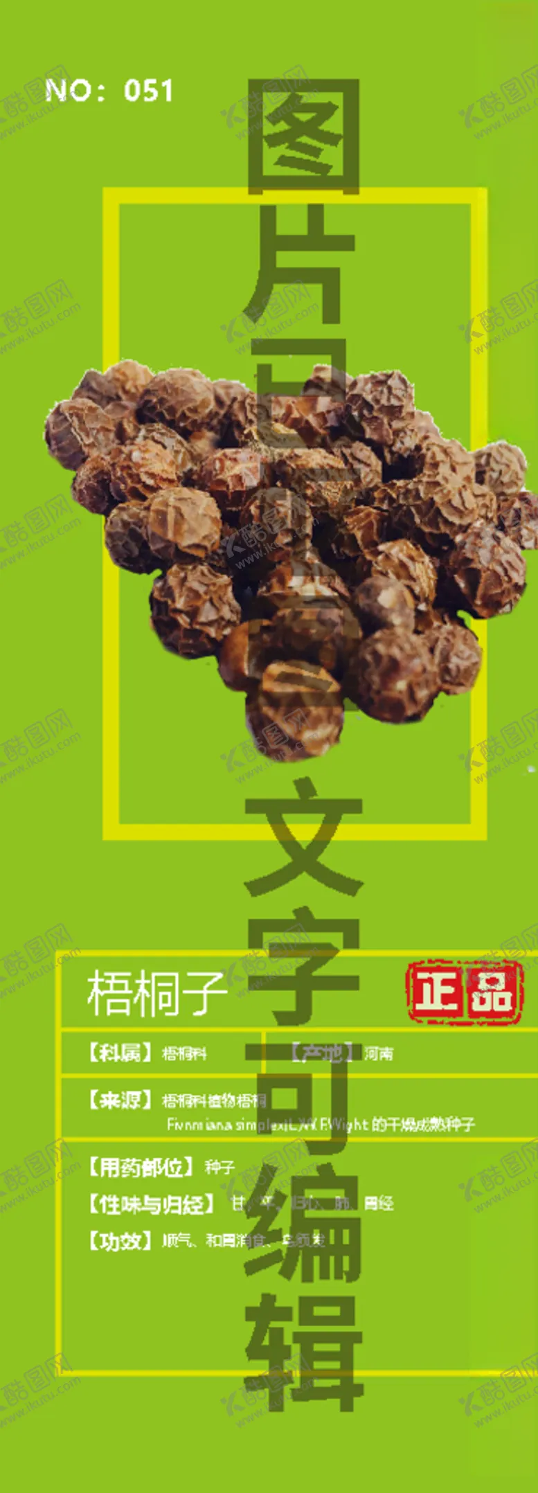 编号：47993507131547118718【酷图网】源文件下载-梧桐子