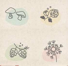 矢量动物矢量植物插画手绘