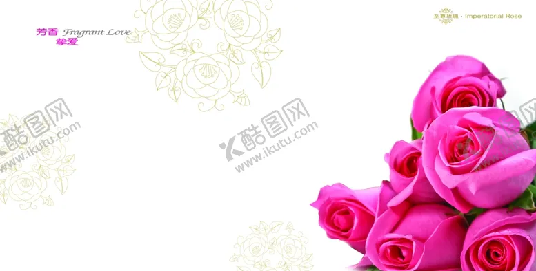 编号：95365106261216464792【酷图网】源文件下载-美容美体单页