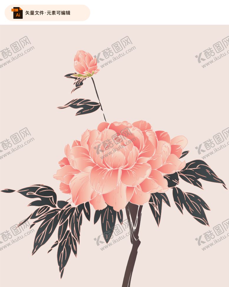 编号：54280309161730569753【酷图网】源文件下载-牡丹花矢量插画