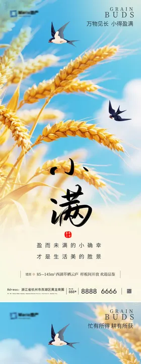 小满芒种节气海报
