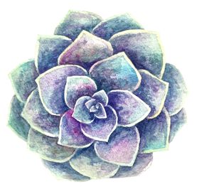 水彩植物