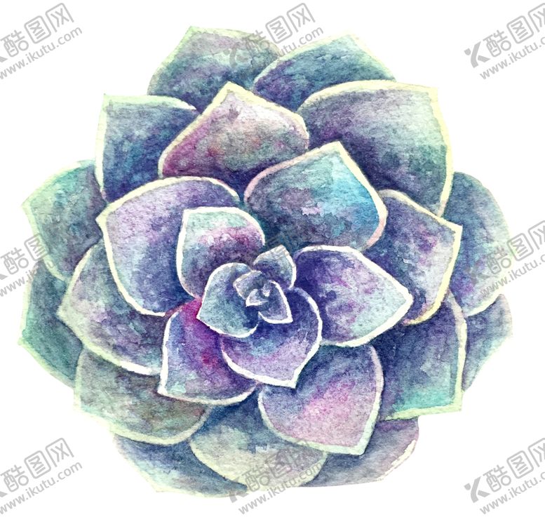 编号：25163805150004074128【酷图网】源文件下载-水彩植物