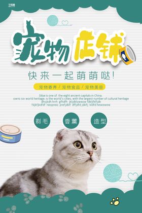 宠物海报