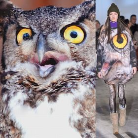 大牌女装猫头鹰