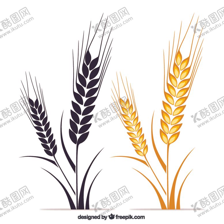 编号：80702909220916291854【酷图网】源文件下载-麦穗