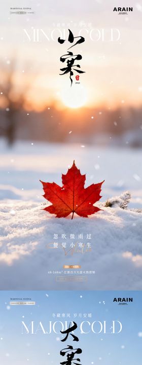 地产小寒大寒冬天风景海报