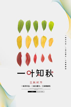 一叶知秋