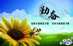 出类拔萃