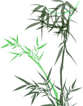 竹子