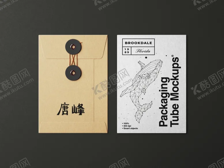 编号：97208312202153403376【酷图网】源文件下载-文件袋档案袋样机