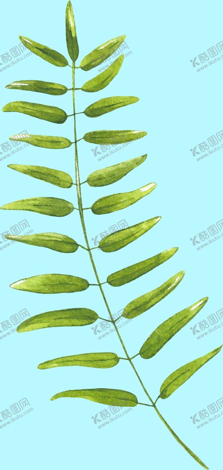 编号：91801110262007145120【酷图网】源文件下载-花卉树叶