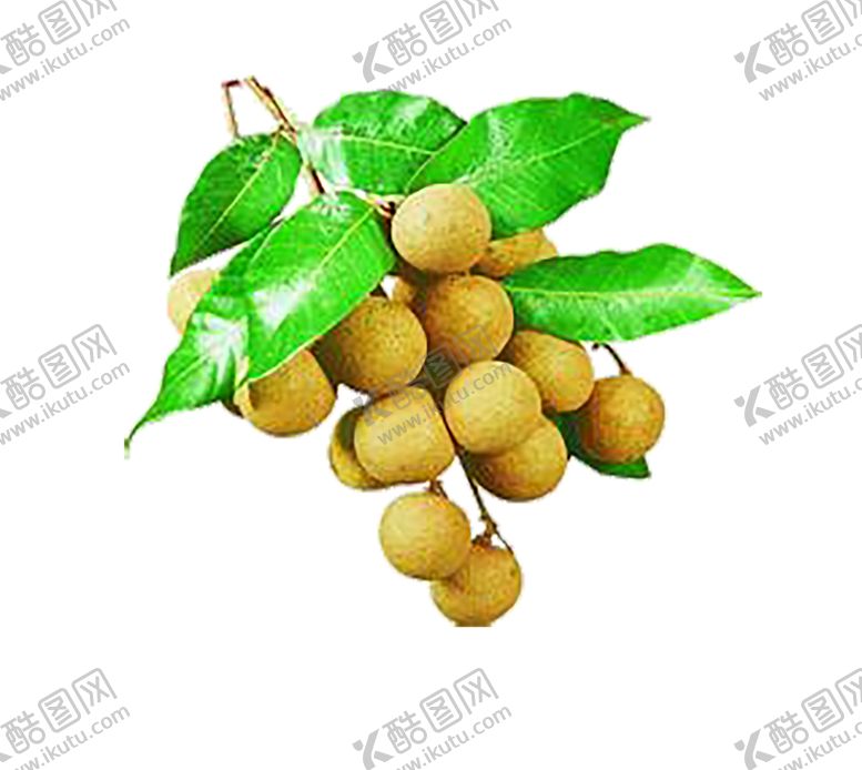 编号：78152507141411265665【酷图网】源文件下载-水果