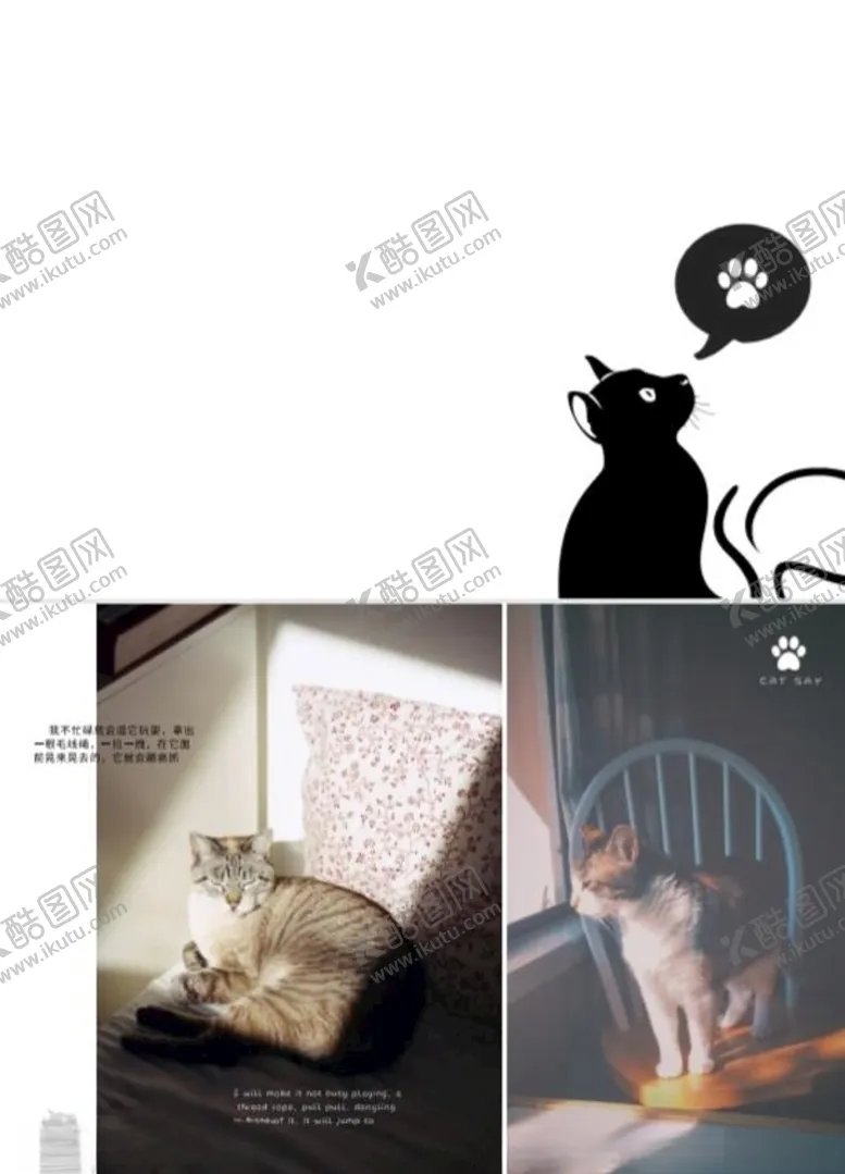 编号：52083810030436392496【酷图网】源文件下载-猫画册