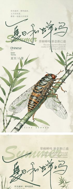 夏至节气海报