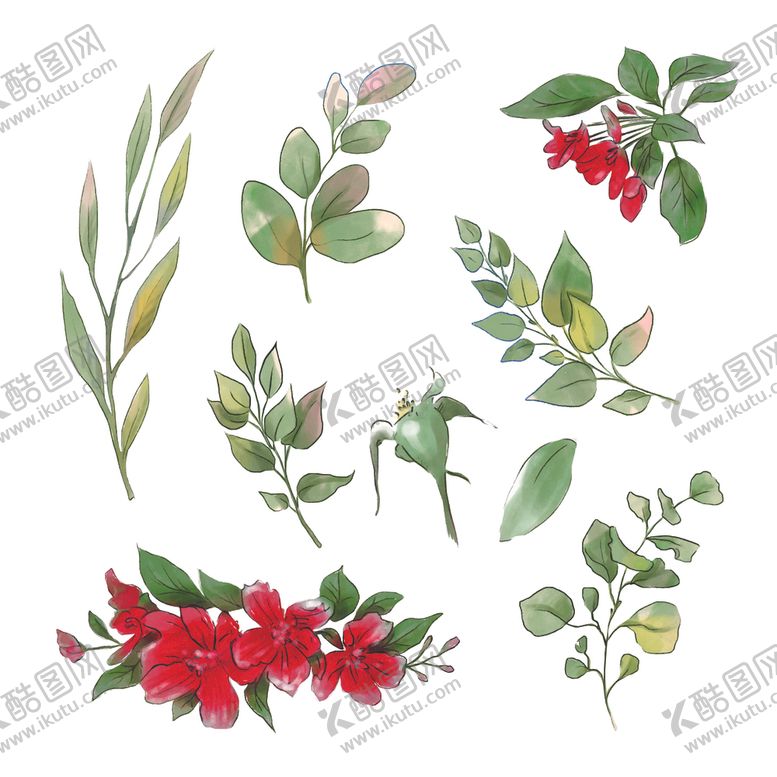 编号：10878105111654445058【酷图网】源文件下载-绿植花卉