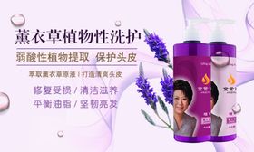 薰衣草洗护