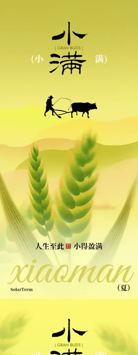 小满节气农田风光海报设计
