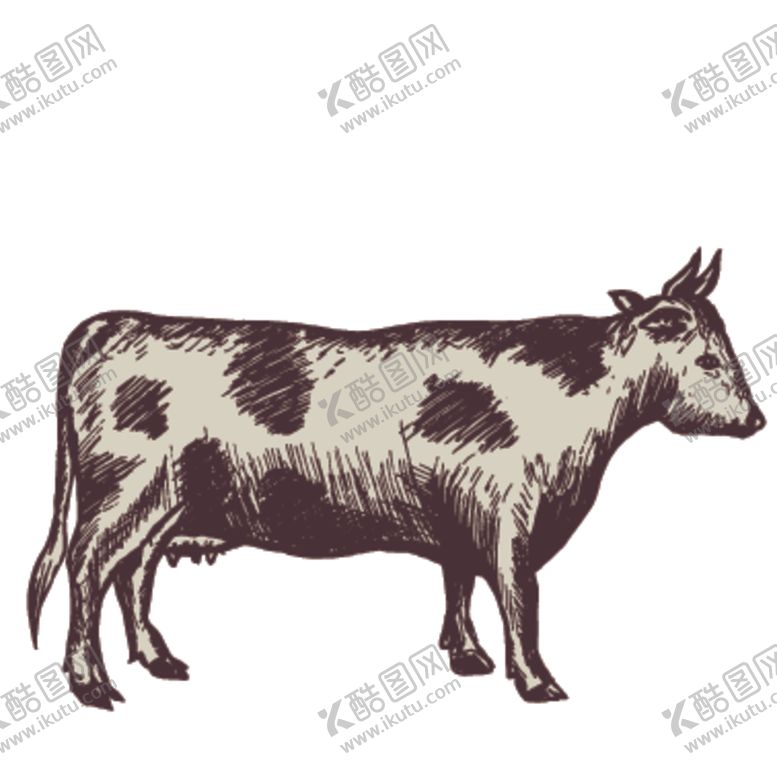 编号：76668509200525188790【酷图网】源文件下载-家养动物主题插画