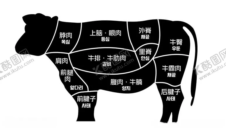 编号：46792202171131436647【酷图网】源文件下载-牛肉的全身分类