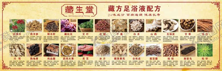 编号：43612301141101091674【酷图网】源文件下载-药材成分藏生堂