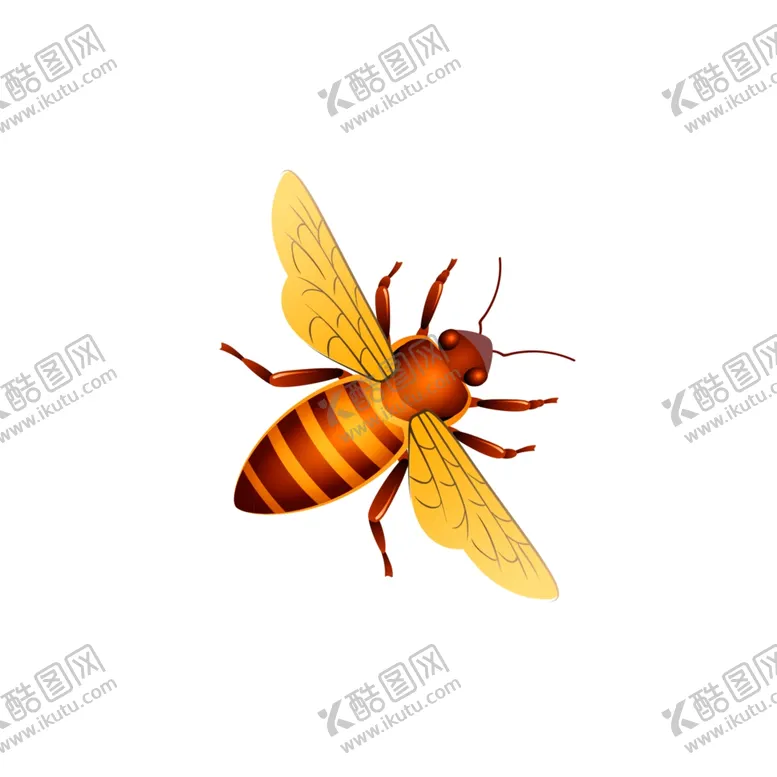 编号：28154205020038204520【酷图网】源文件下载-蜜蜂昆虫插画图片